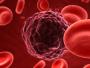 Т-лимфоциты могут помочь в лечении рака печени