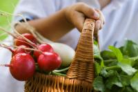 Диетологи признали редис суперпродуктом Диетологи признали редис суперпродуктом