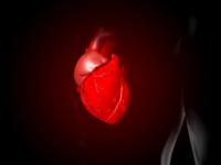 Ученые обнаружили молекулу, способную предотвратить сердечную недостаточность Ученые обнаружили молекулу, способную предотвратить сердечную недостаточность